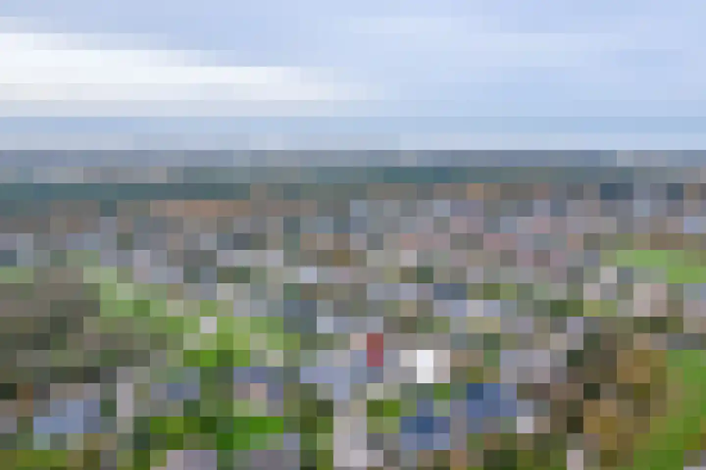 Orchismient 8 De Koog thumbnail 46