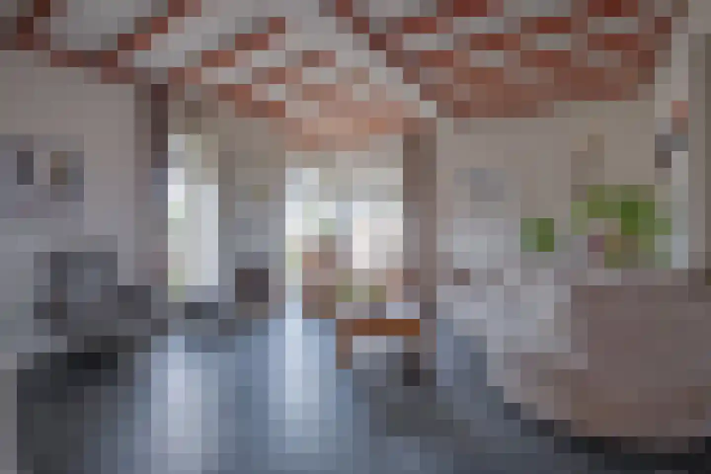 Orchismient 8 De Koog thumbnail 5
