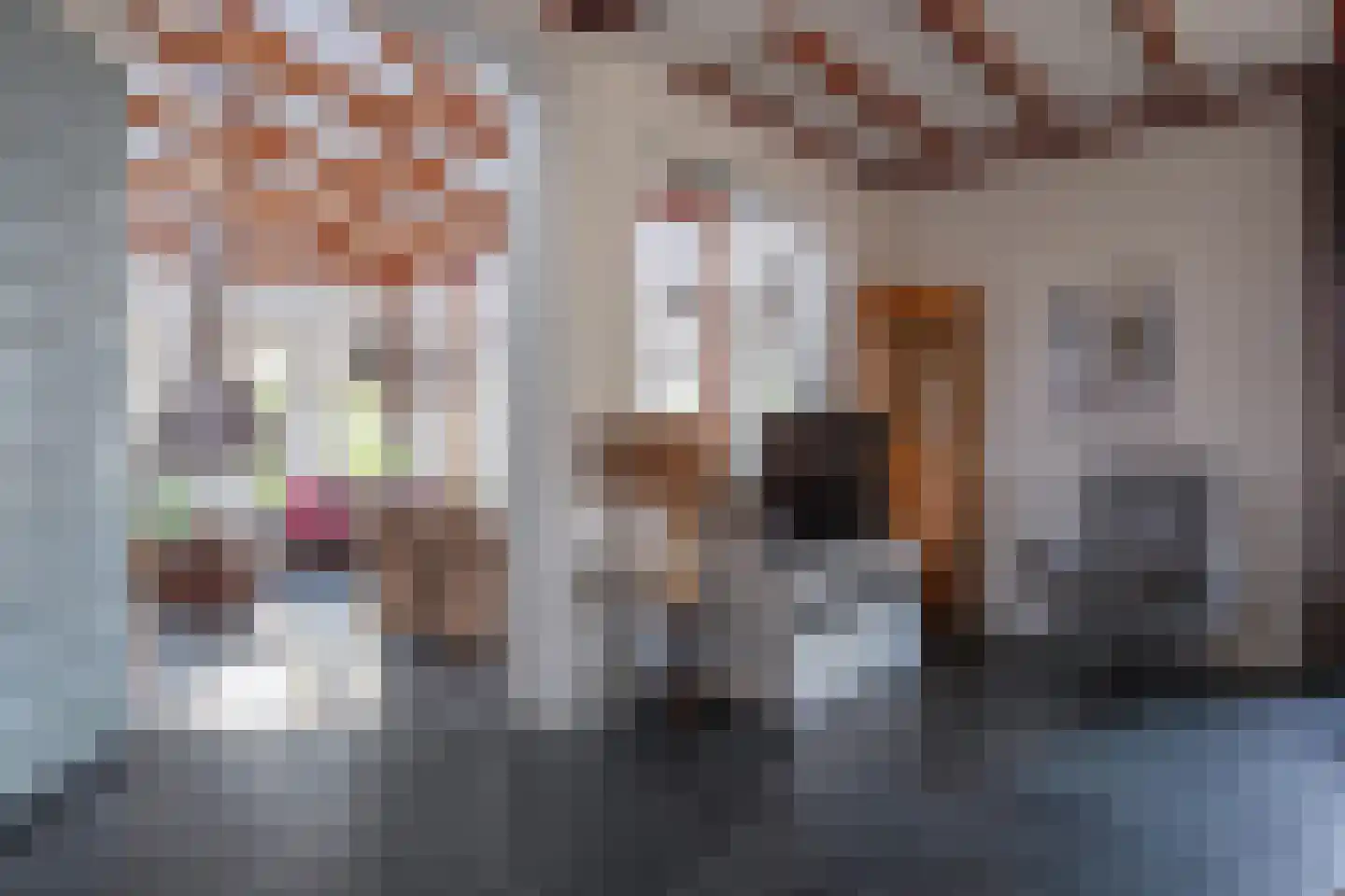 Orchismient 8 De Koog thumbnail 7