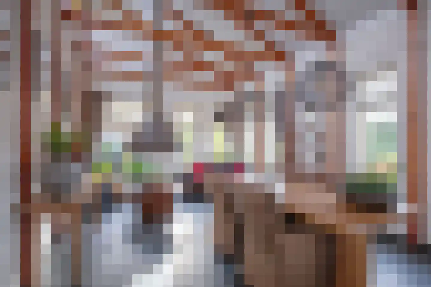 Orchismient 8 De Koog thumbnail 8