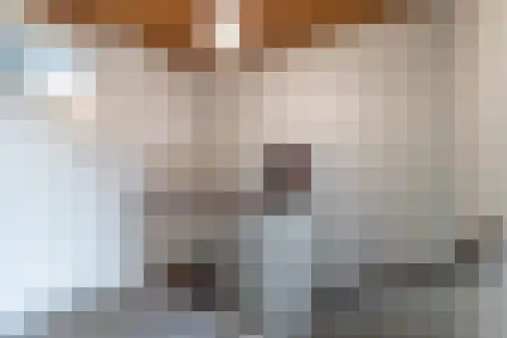 Orchisstraat 31 Wormer thumbnail 18