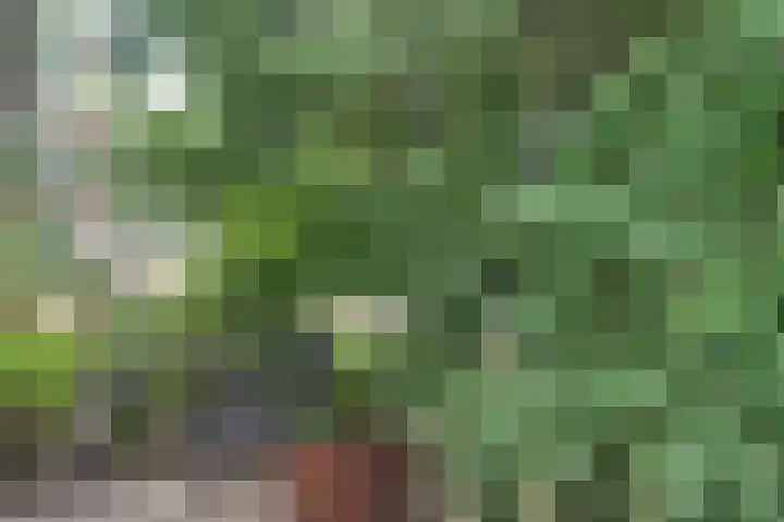 Orchisstraat 31 Wormer thumbnail 41