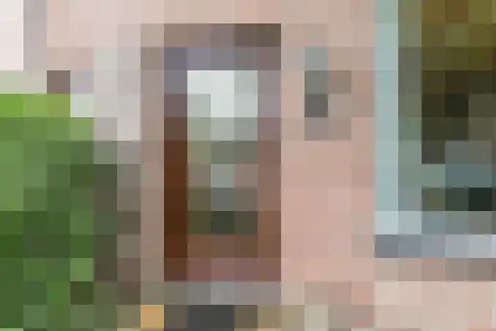 Orchisstraat 31 Wormer thumbnail 6