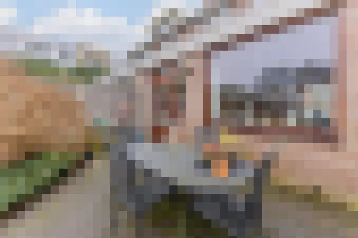 Orchisstraat 58 Wormer thumbnail 13