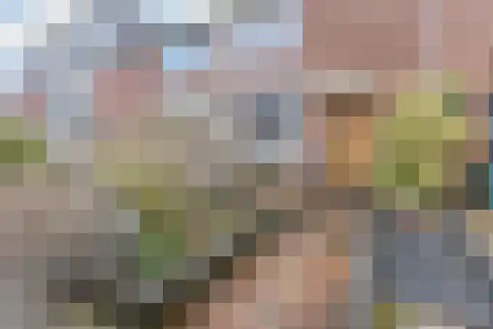 Orchisstraat 58 Wormer thumbnail 25