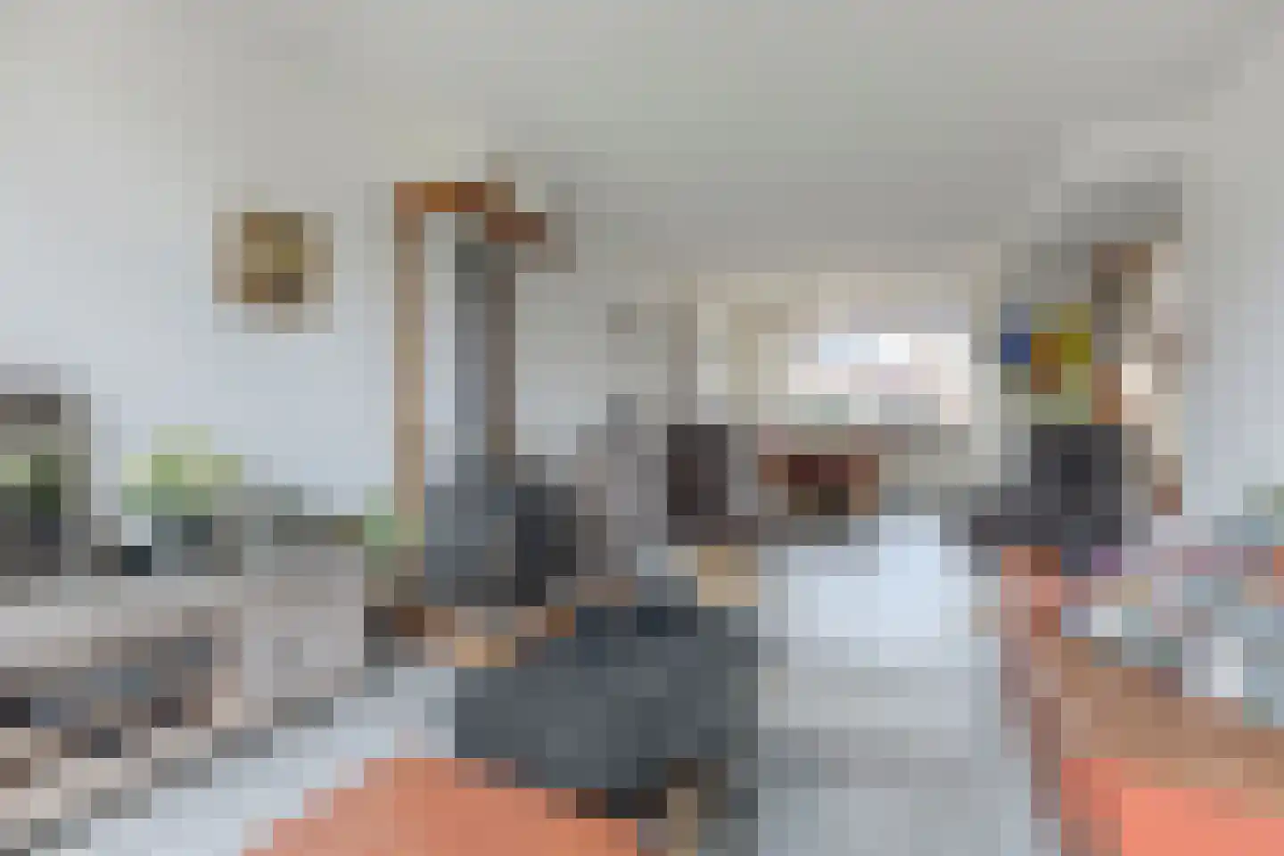 Orchisstraat 58 Wormer thumbnail 4