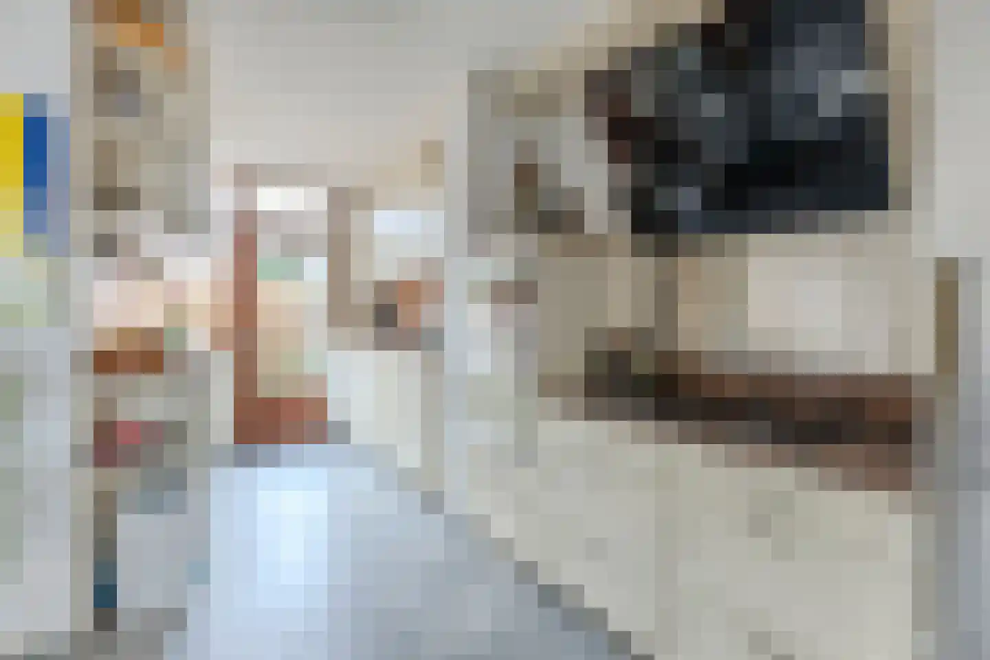 Orchisstraat 58 Wormer thumbnail 6