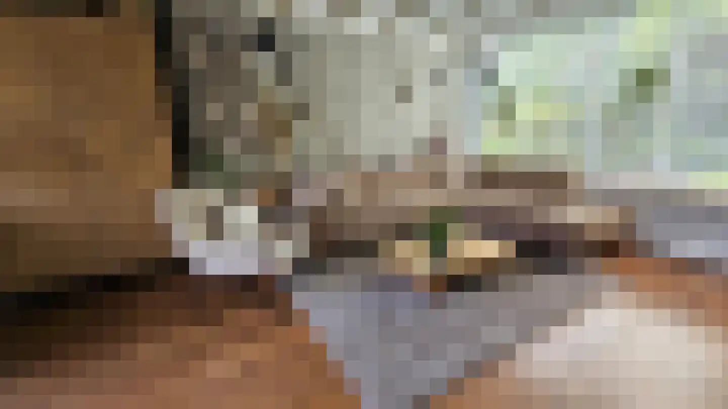 Orchisstraat 8 Wormer thumbnail 11