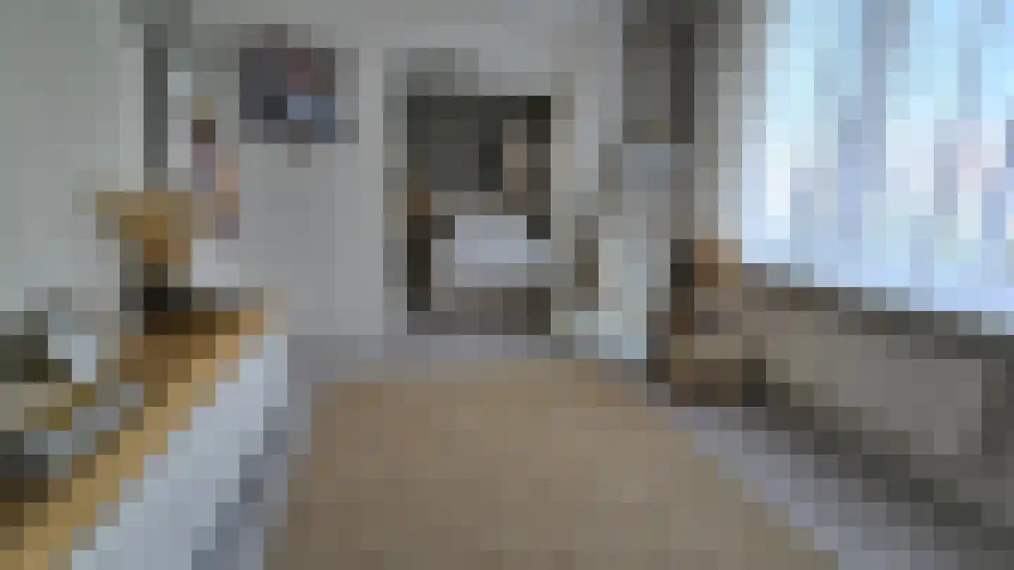 Orchisstraat 8 Wormer thumbnail 21
