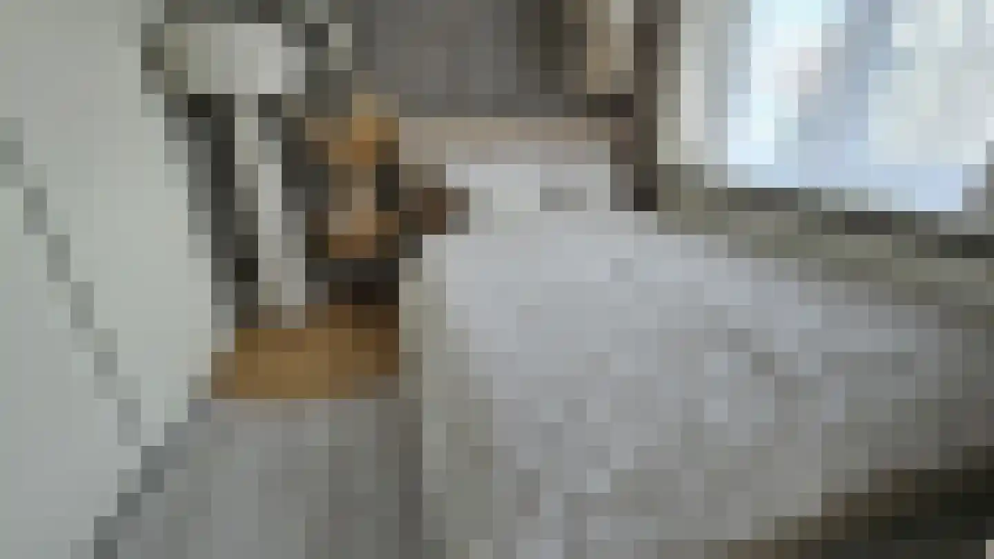 Orchisstraat 8 Wormer thumbnail 22