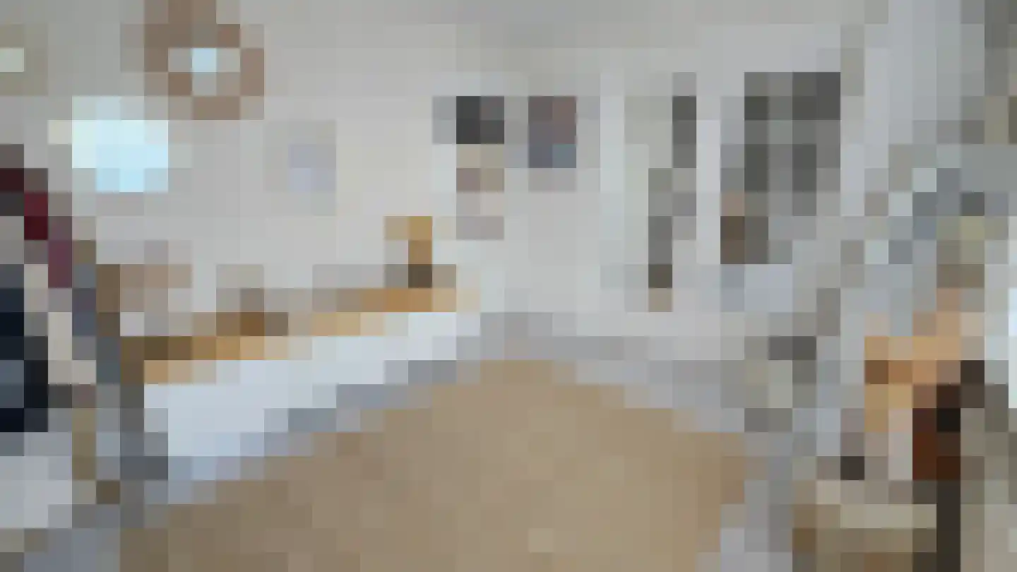 Orchisstraat 8 Wormer thumbnail 23