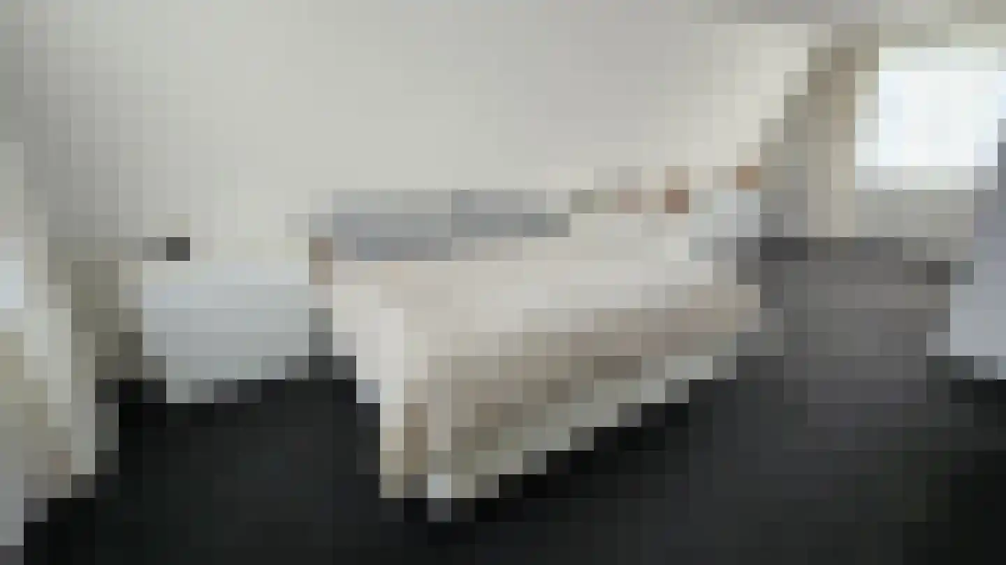 Orchisstraat 8 Wormer thumbnail 33