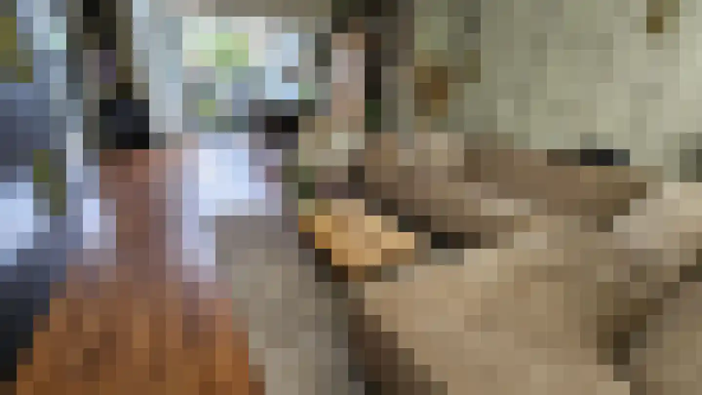 Orchisstraat 8 Wormer thumbnail 4