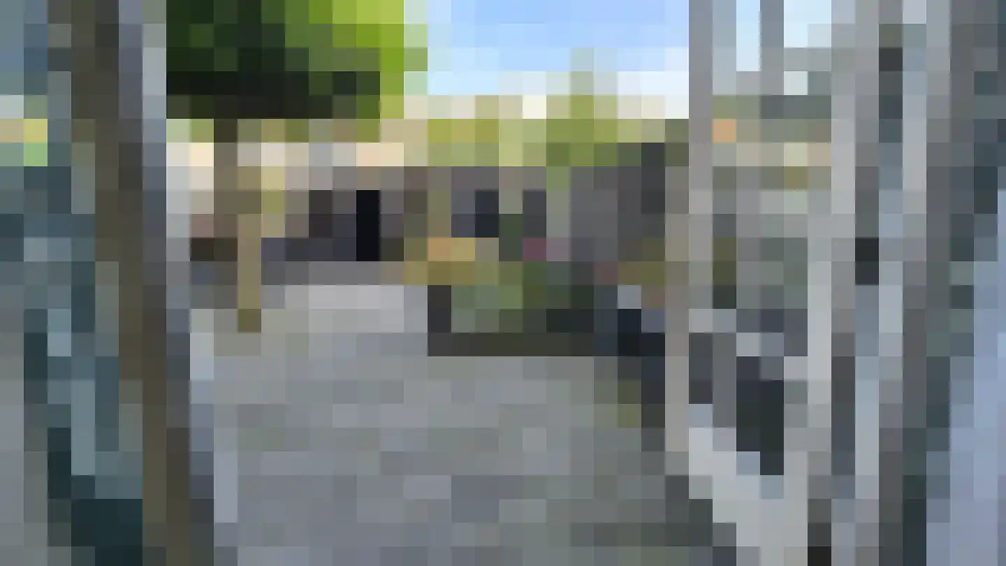Orchisstraat 8 Wormer thumbnail 40