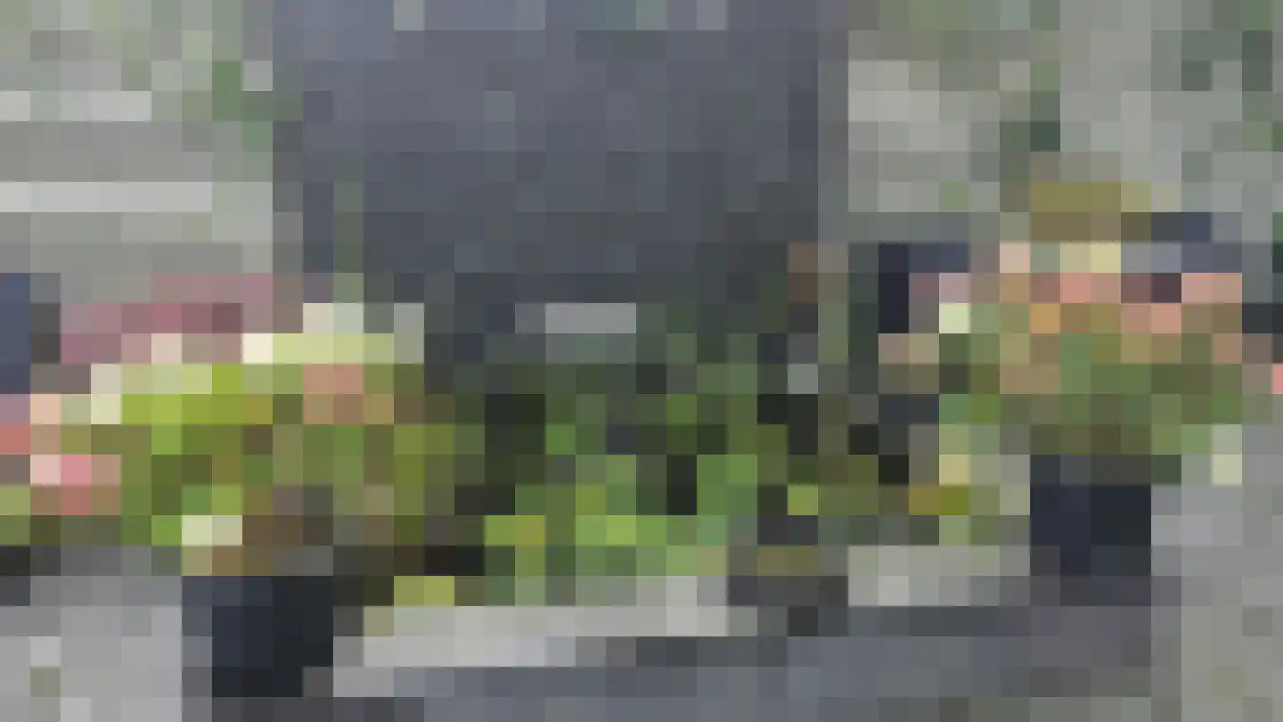Orchisstraat 8 Wormer thumbnail 43