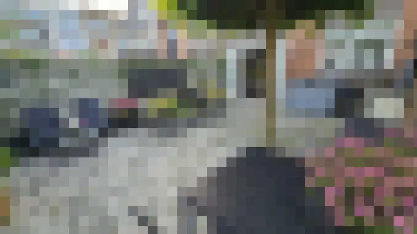 Orchisstraat 8 Wormer thumbnail 44