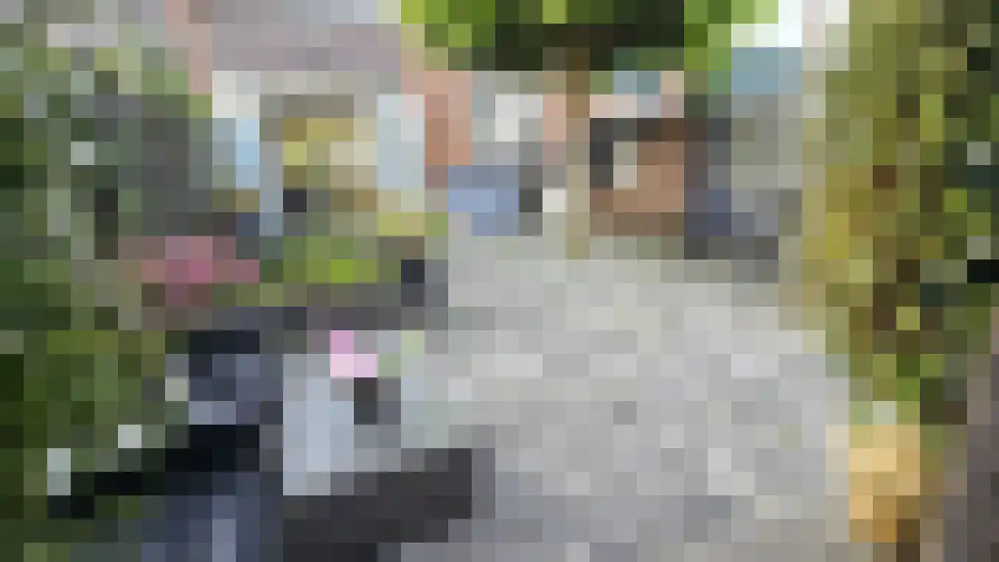 Orchisstraat 8 Wormer thumbnail 46