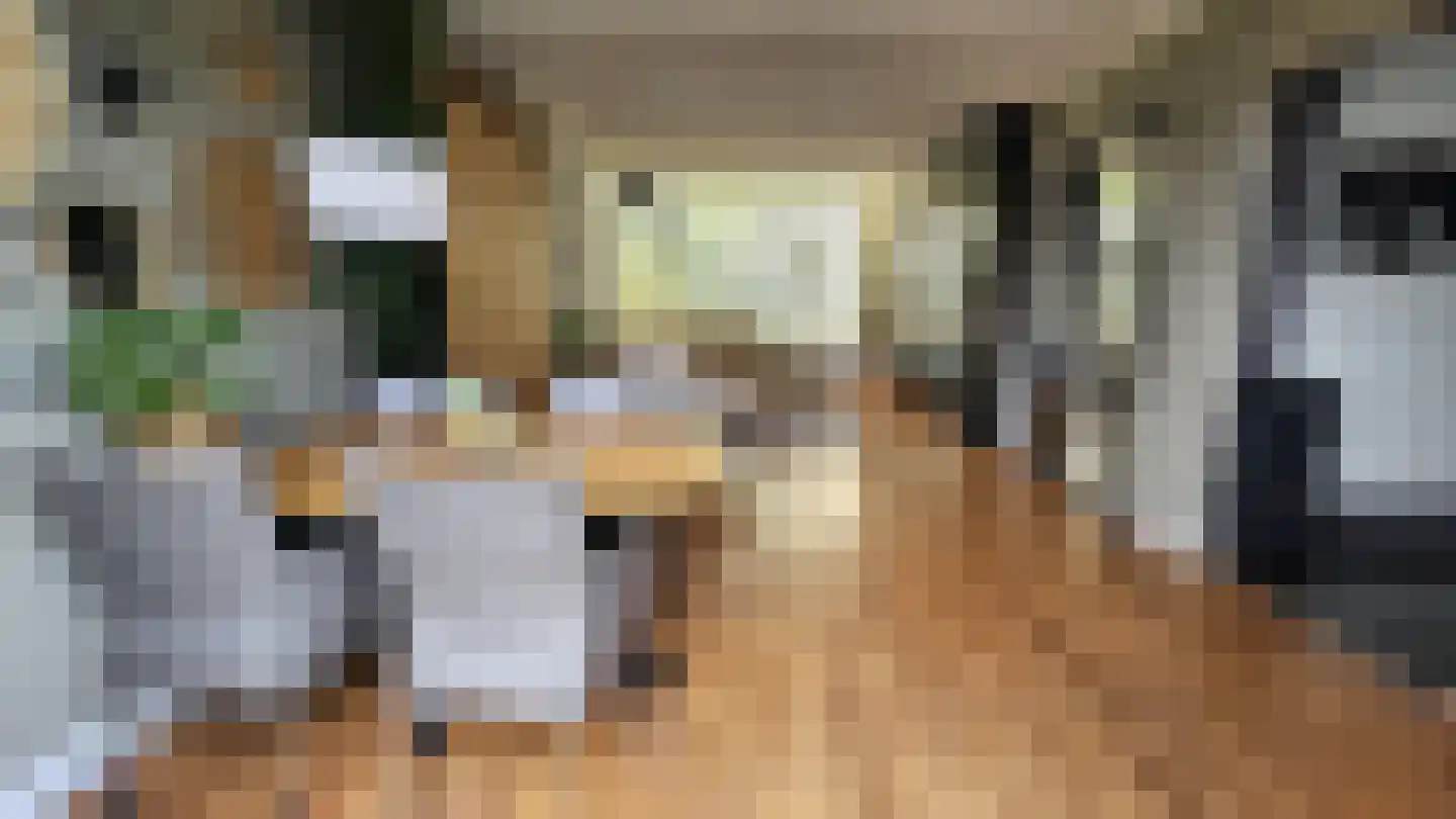 Orchisstraat 8 Wormer thumbnail 6