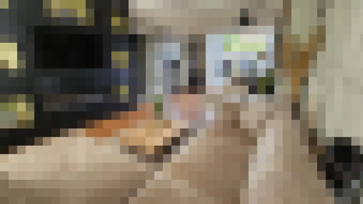 Orchisstraat 8 Wormer thumbnail 7