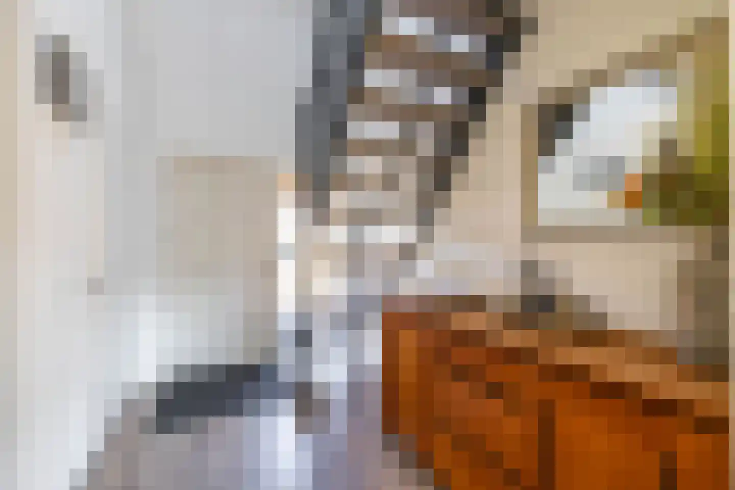 Ordel 14 Norg thumbnail 13