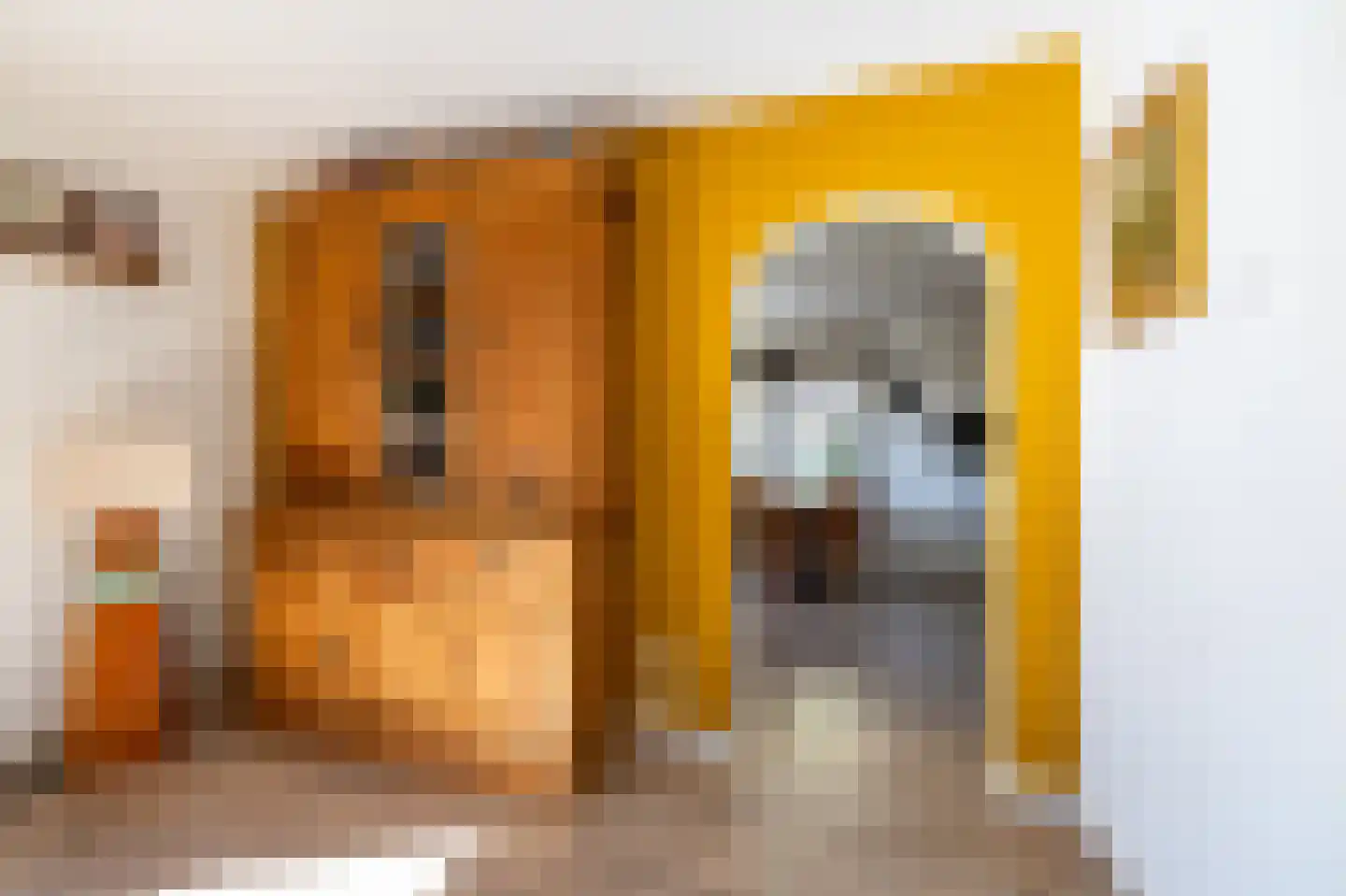 Ordel 14 Norg thumbnail 20