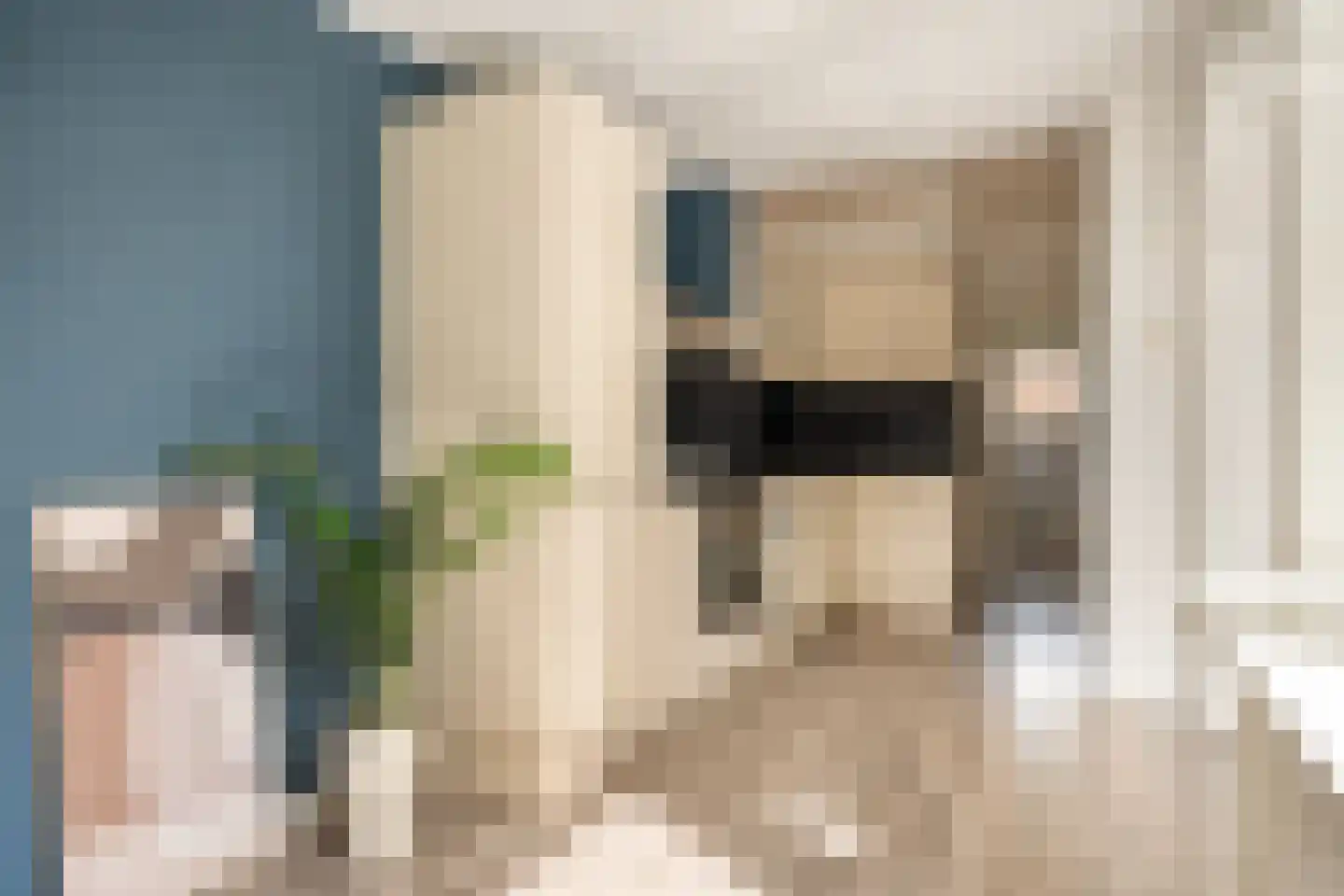 Ordellaan 12 Rolde thumbnail 23