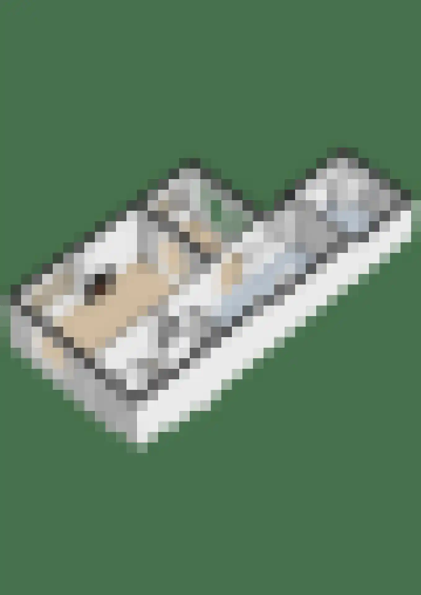 Ordellaan 12 Rolde thumbnail 44