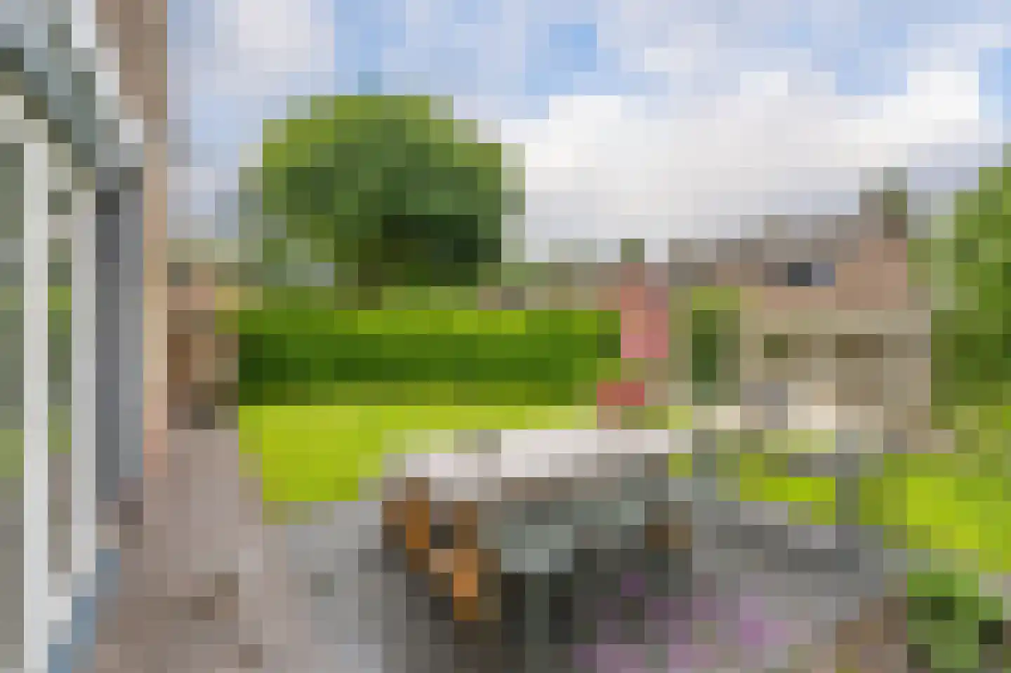 Ordellaan 24 Rolde thumbnail 36