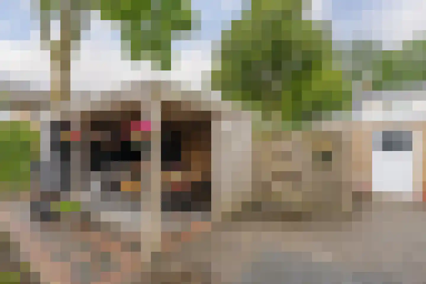 Ordellaan 24 Rolde thumbnail 46