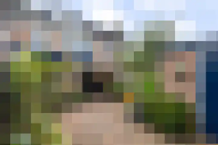 Ordermolenweg 30 Apeldoorn thumbnail 15