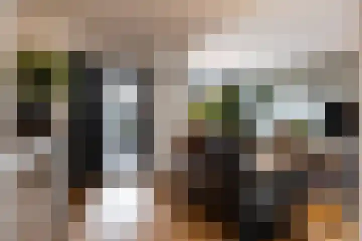 Ordermolenweg 30 Apeldoorn thumbnail 6