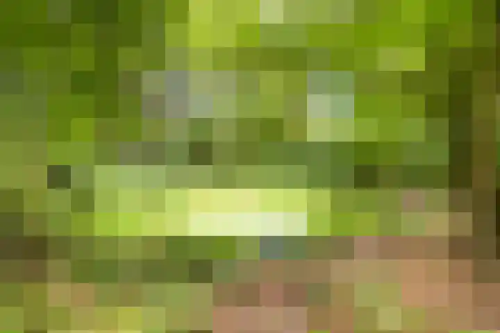 Ordermolenweg 66 Apeldoorn thumbnail 27