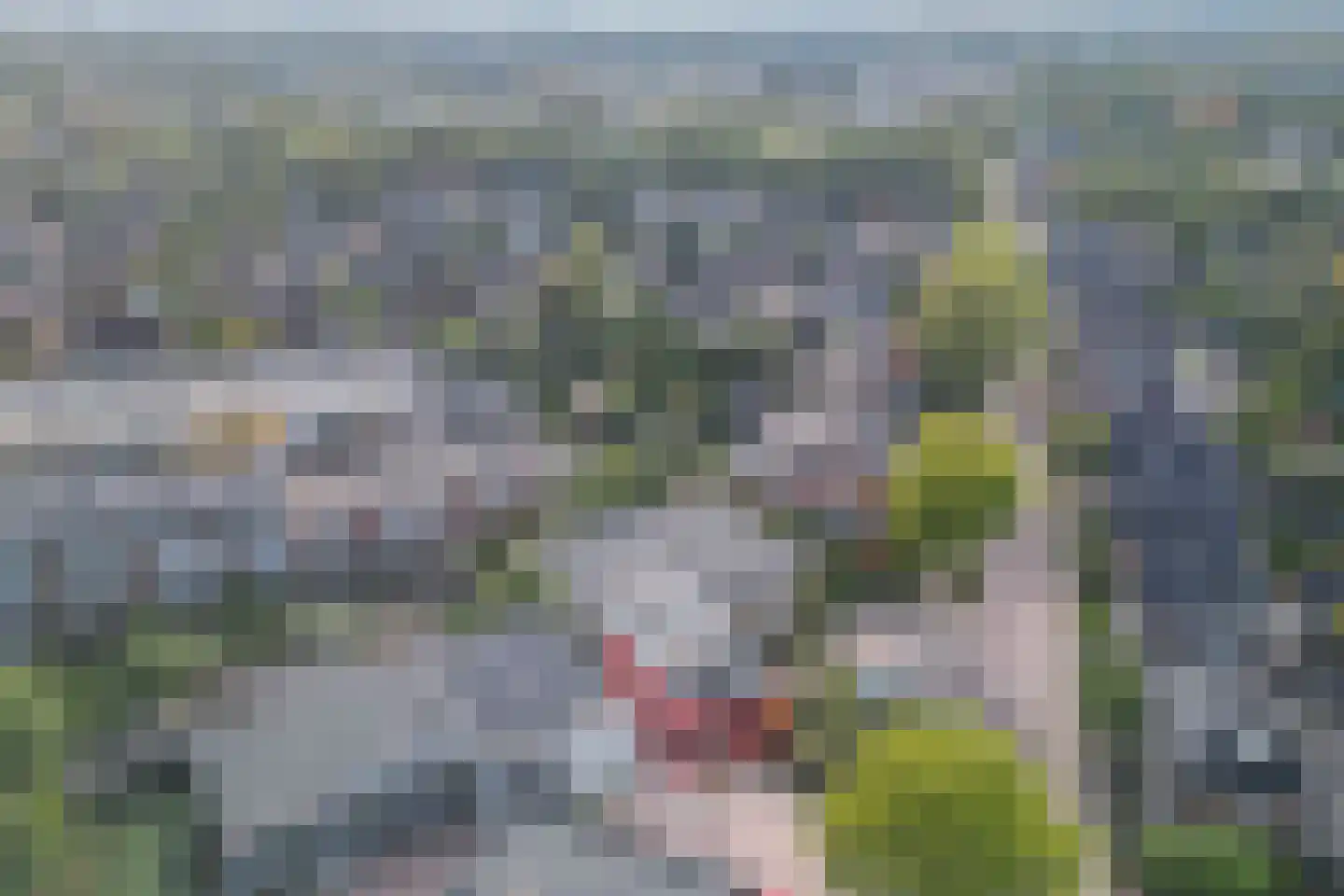 Orderparkweg 3 M Apeldoorn thumbnail 25