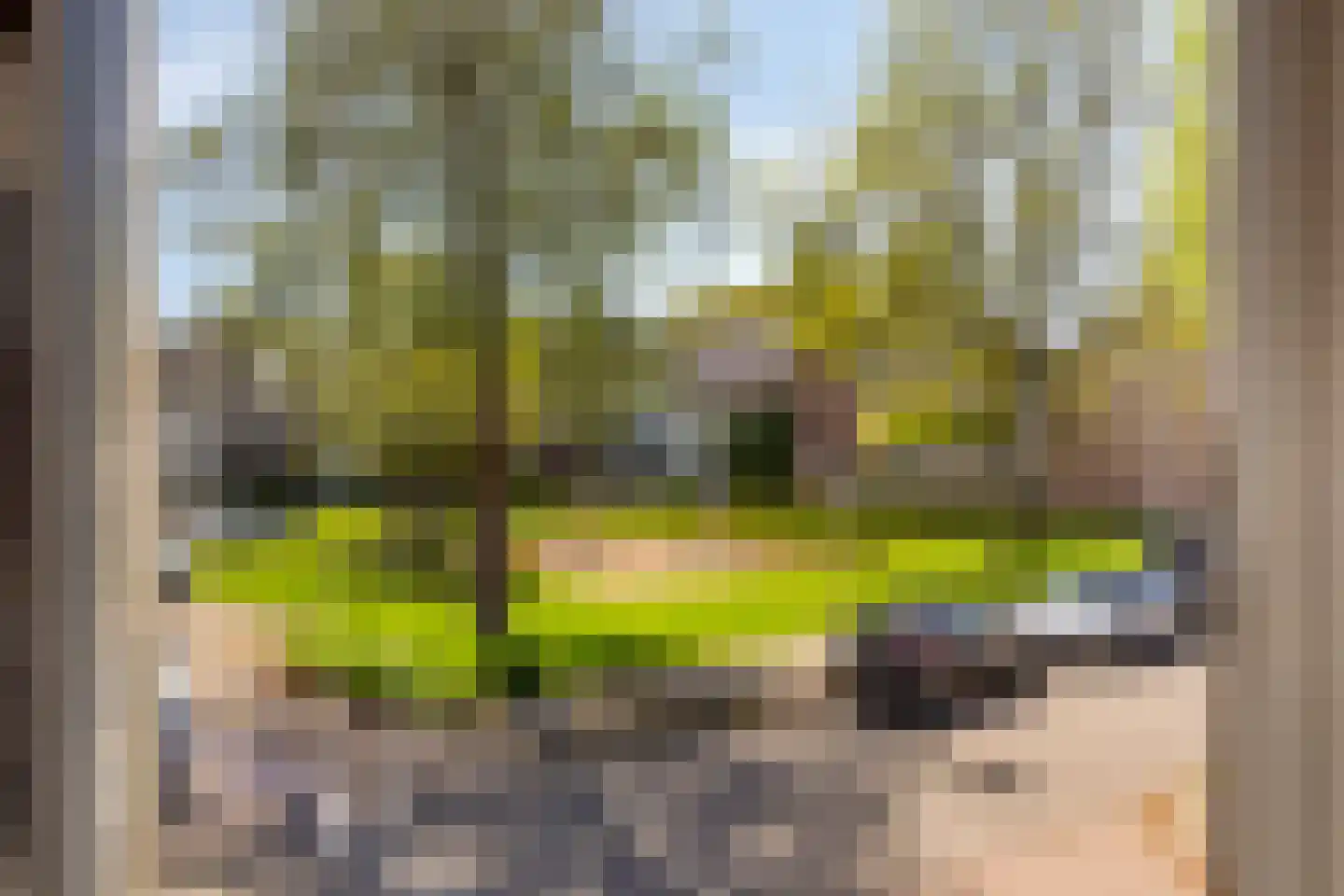 Orduynenstraat 124 's-Hertogenbosch thumbnail 15