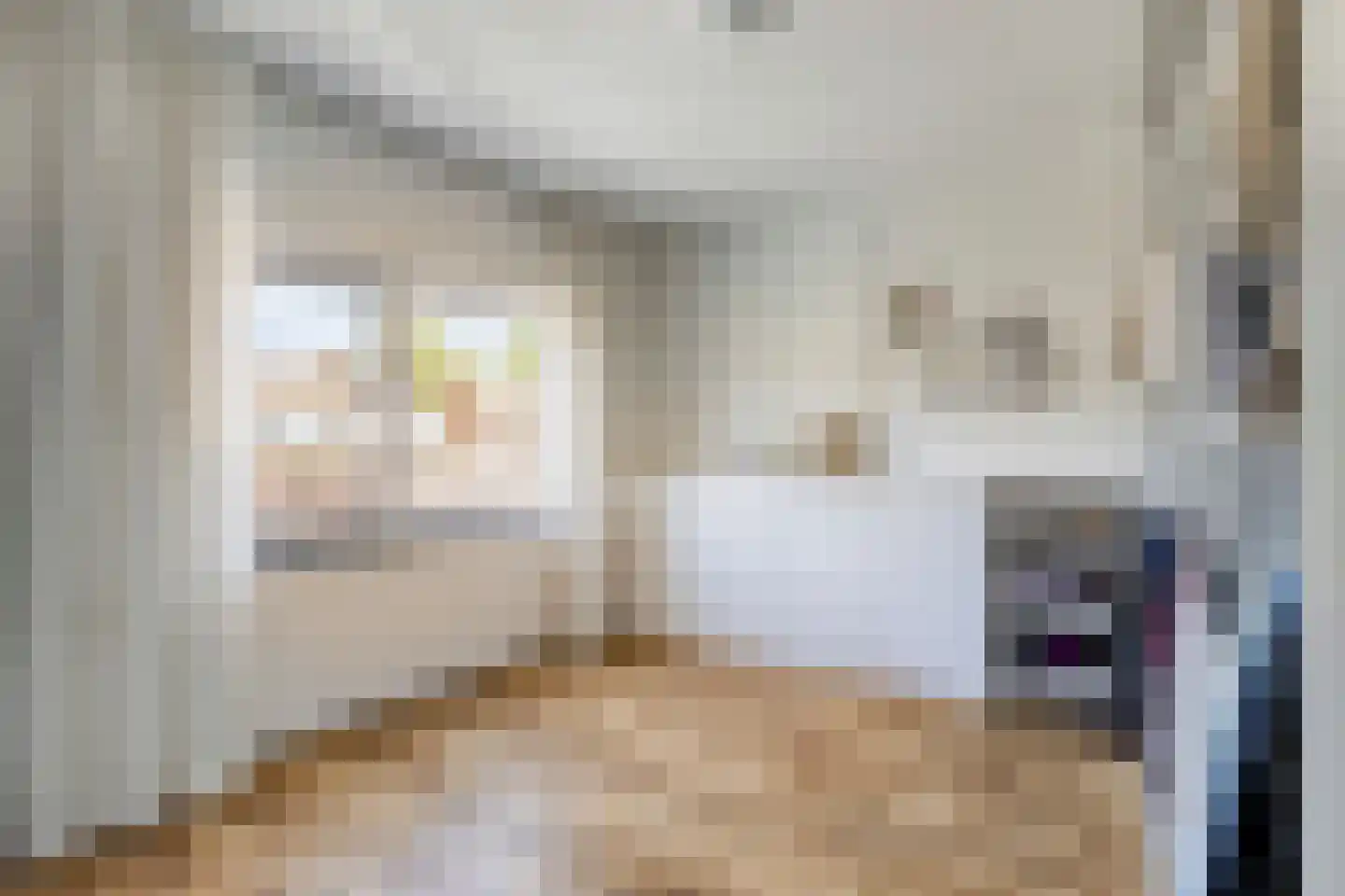 Orduynenstraat 124 's-Hertogenbosch thumbnail 16