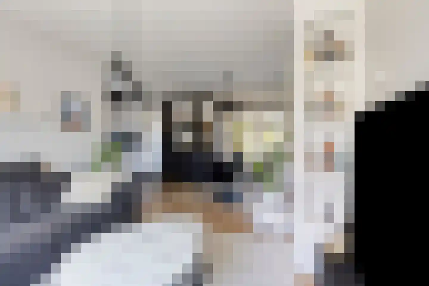 Orduynenstraat 124 's-Hertogenbosch thumbnail 4