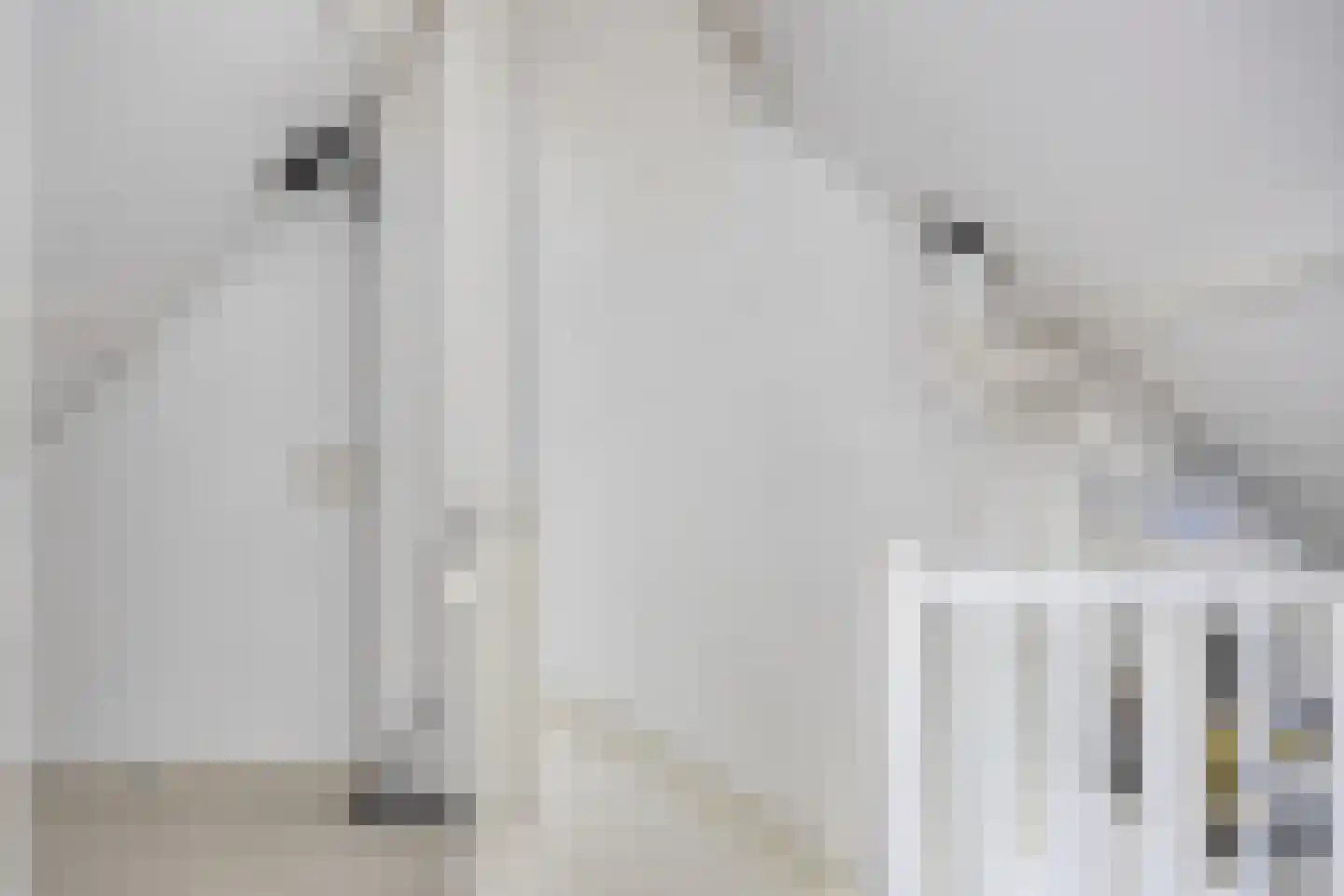 Orduynenstraat 25 's-Hertogenbosch thumbnail 34