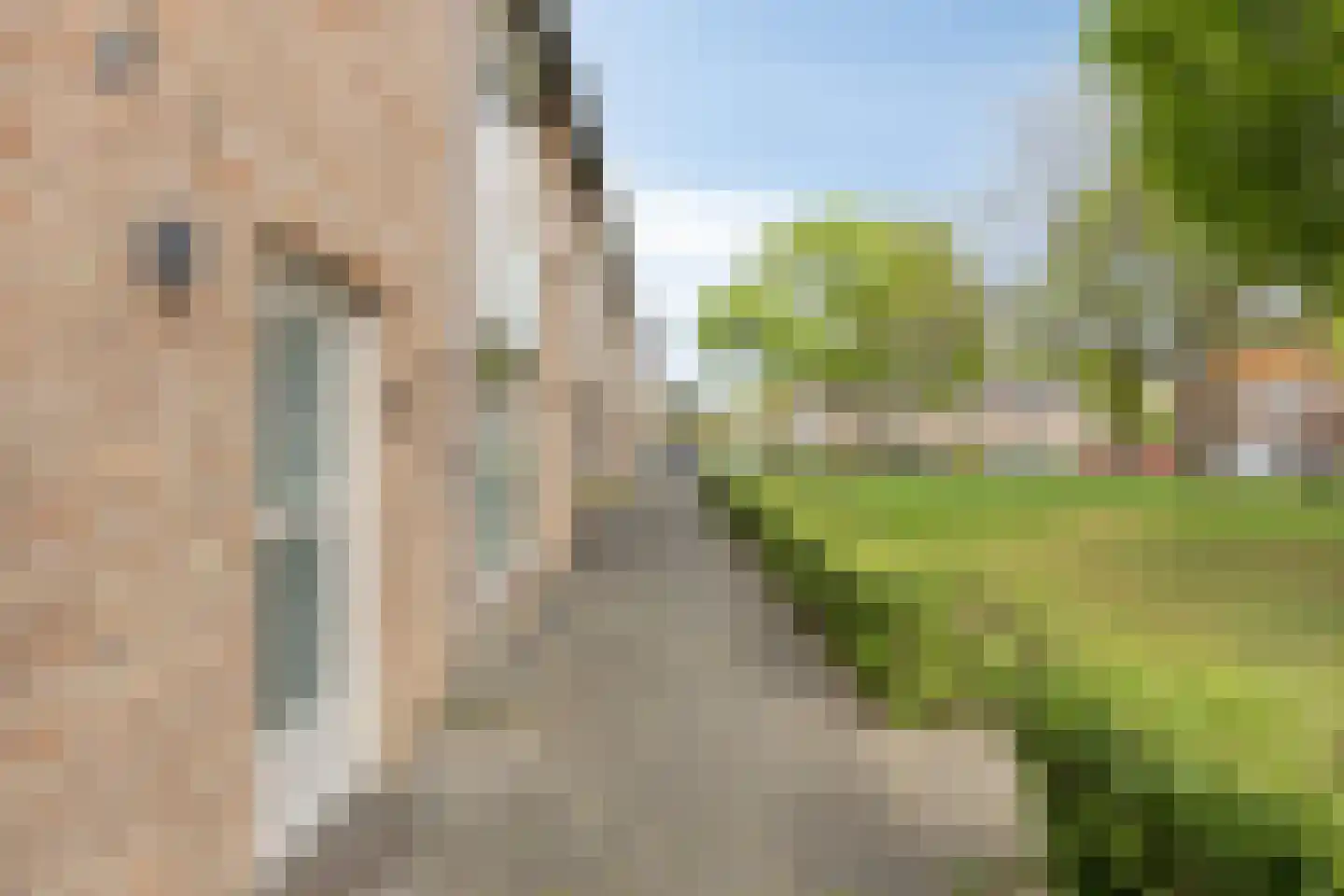 Orduynenstraat 25 's-Hertogenbosch thumbnail 47