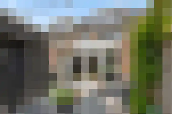 Orduynenstraat 33 's-Hertogenbosch thumbnail 24