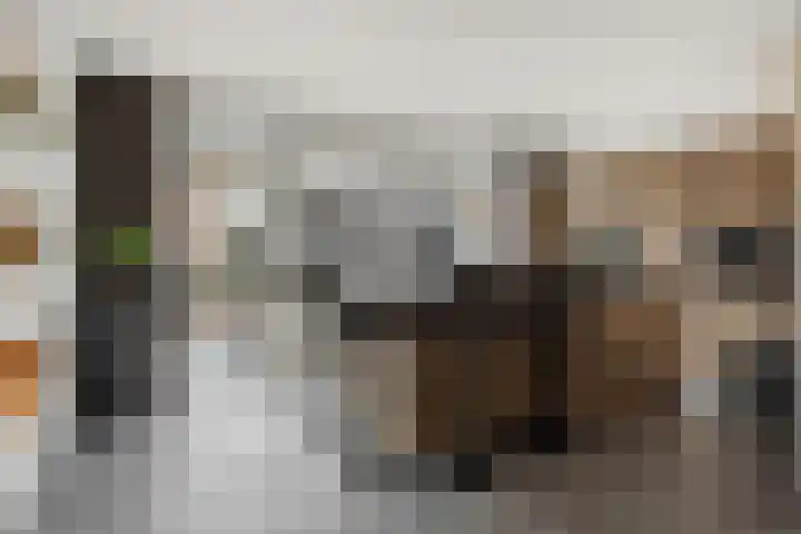 Orduynenstraat 33 's-Hertogenbosch thumbnail 6
