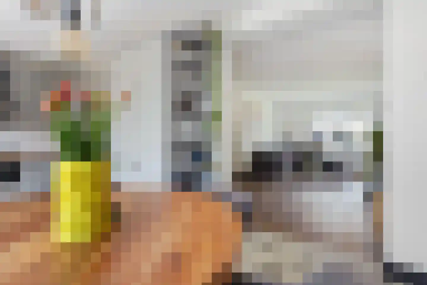 Orduynenstraat 46 's-Hertogenbosch thumbnail 12