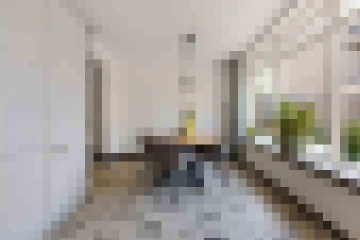 Orduynenstraat 46 's-Hertogenbosch thumbnail 14