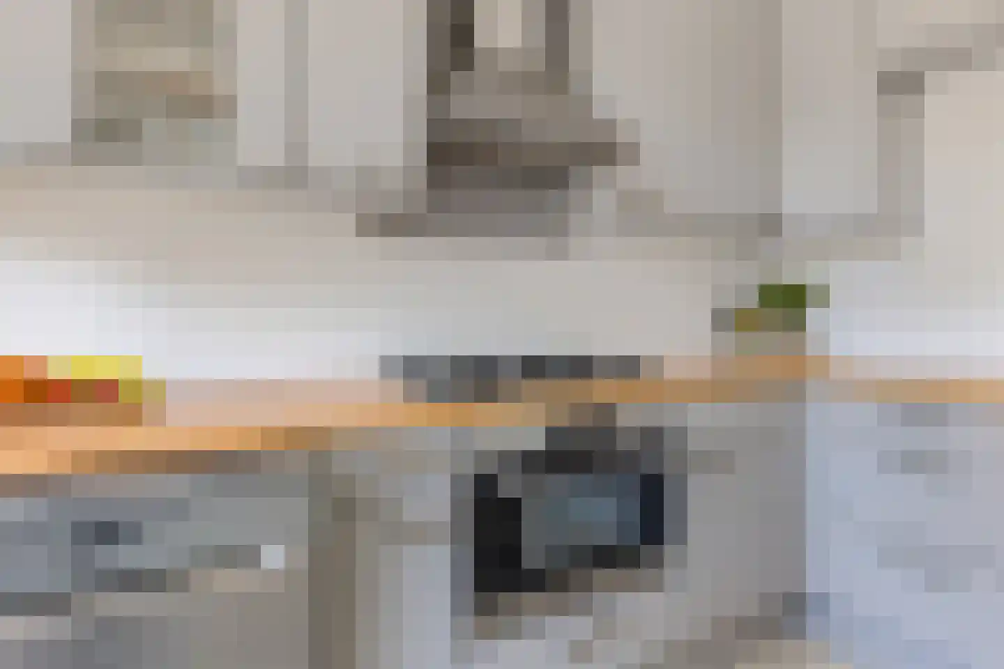 Orduynenstraat 46 's-Hertogenbosch thumbnail 15
