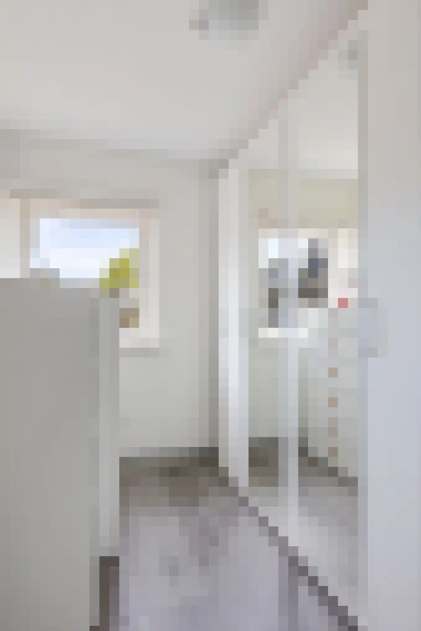 Orduynenstraat 46 's-Hertogenbosch thumbnail 24