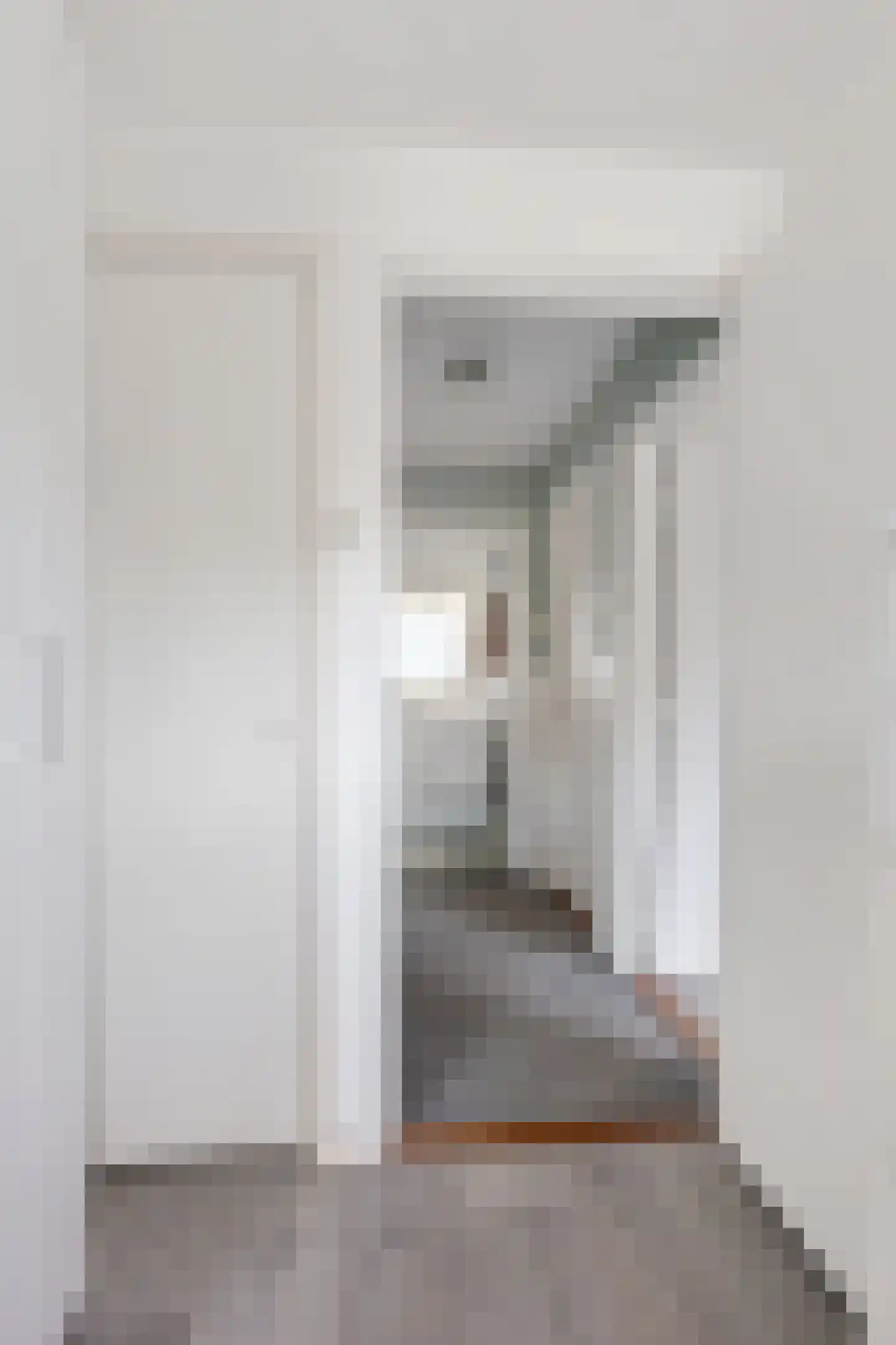 Orduynenstraat 46 's-Hertogenbosch thumbnail 25