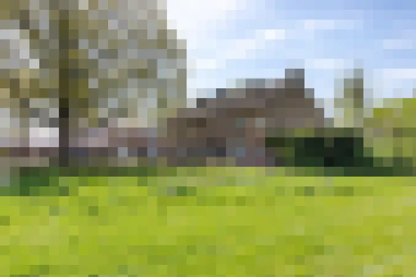Orduynenstraat 46 's-Hertogenbosch thumbnail 38