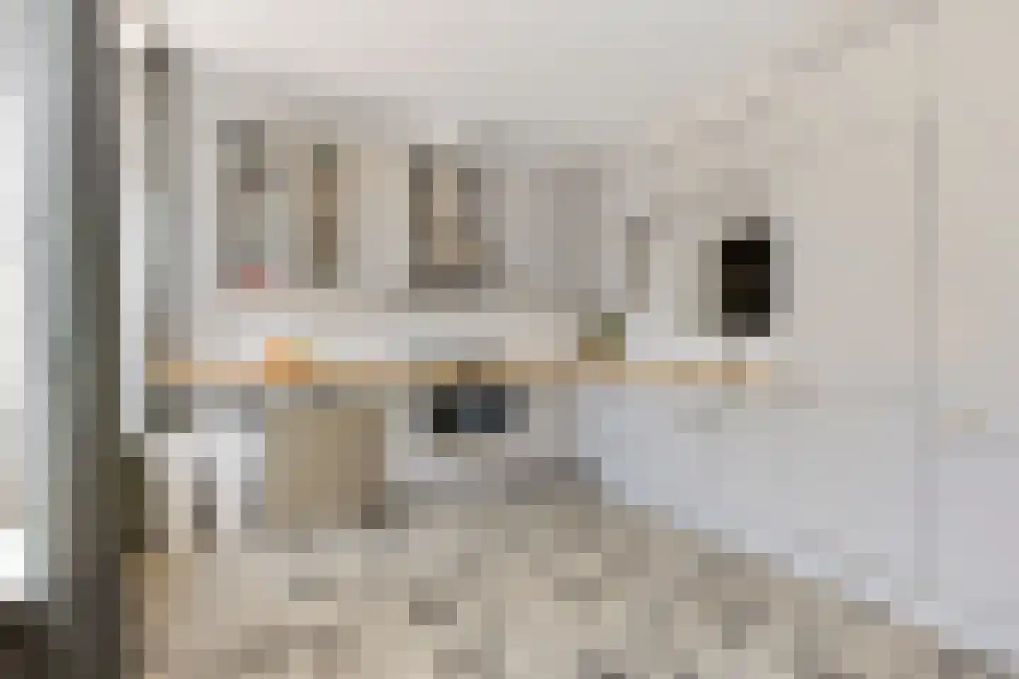 Orduynenstraat 46 's-Hertogenbosch thumbnail 4