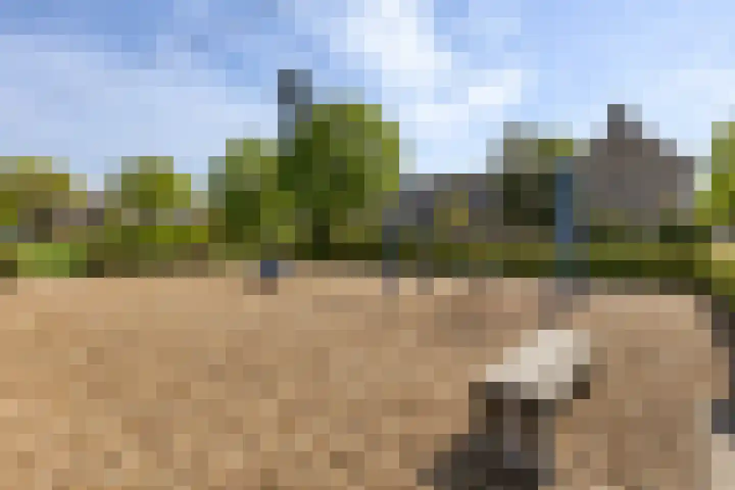 Orduynenstraat 46 's-Hertogenbosch thumbnail 40