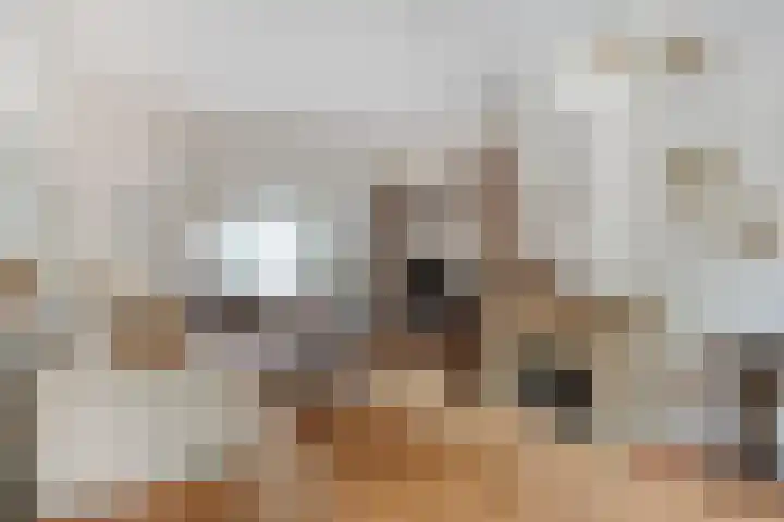 Orduynenstraat 94 's-Hertogenbosch thumbnail 6