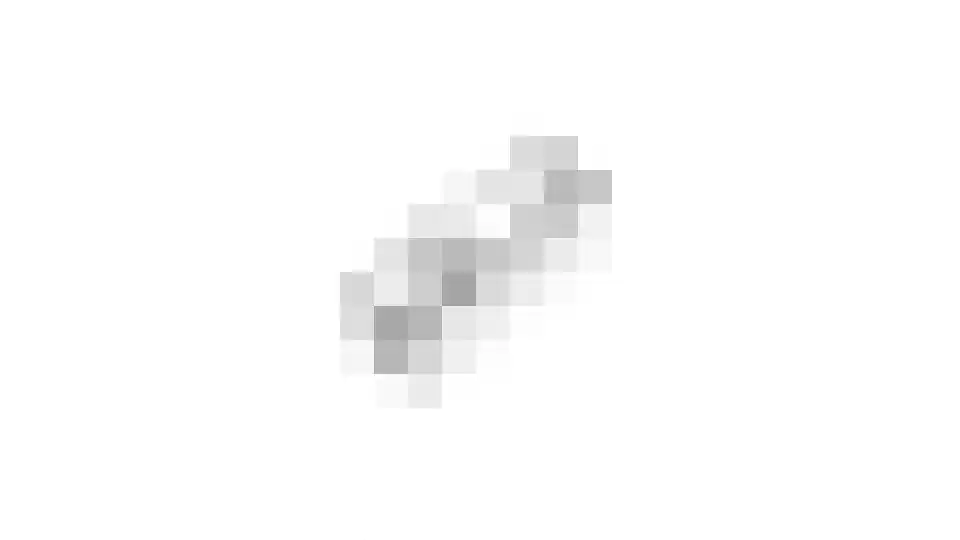 Oregano 2 Heerhugowaard thumbnail 108